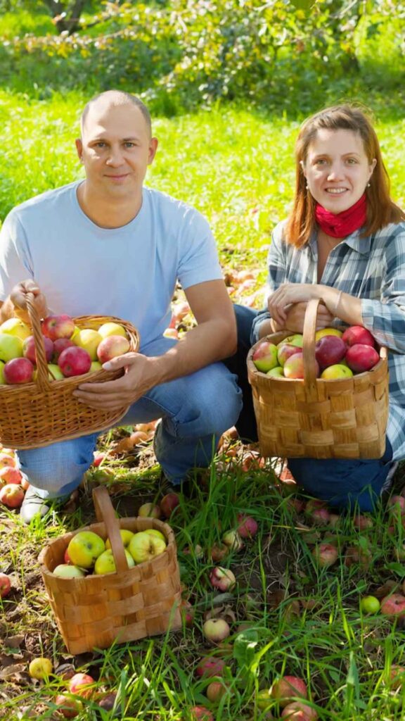 Fall Date Ideas
