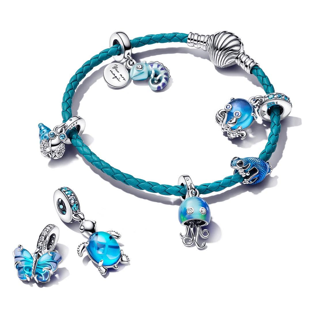 Pandora Bracelet Ideas