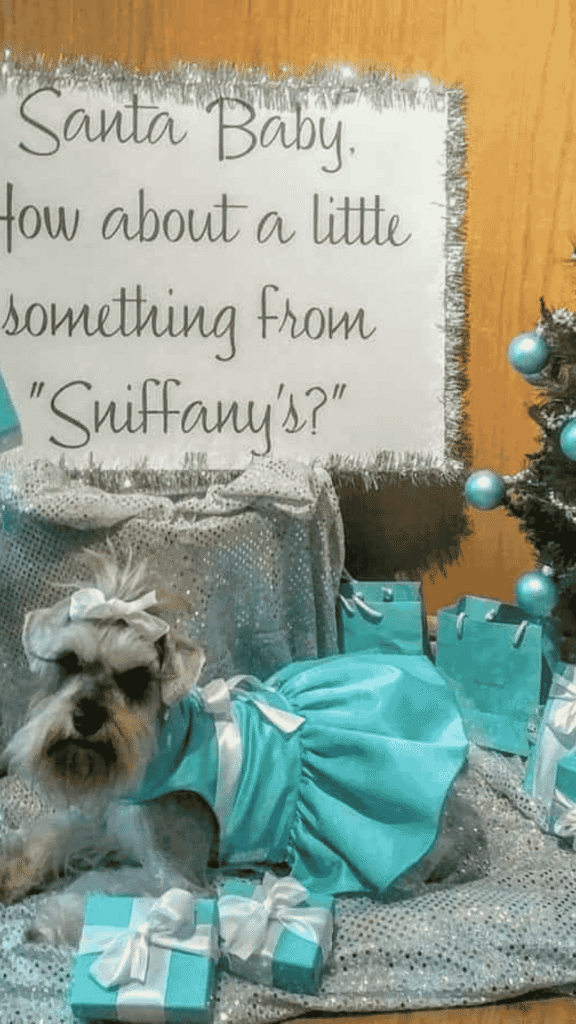 Funny Christmas Card Ideas