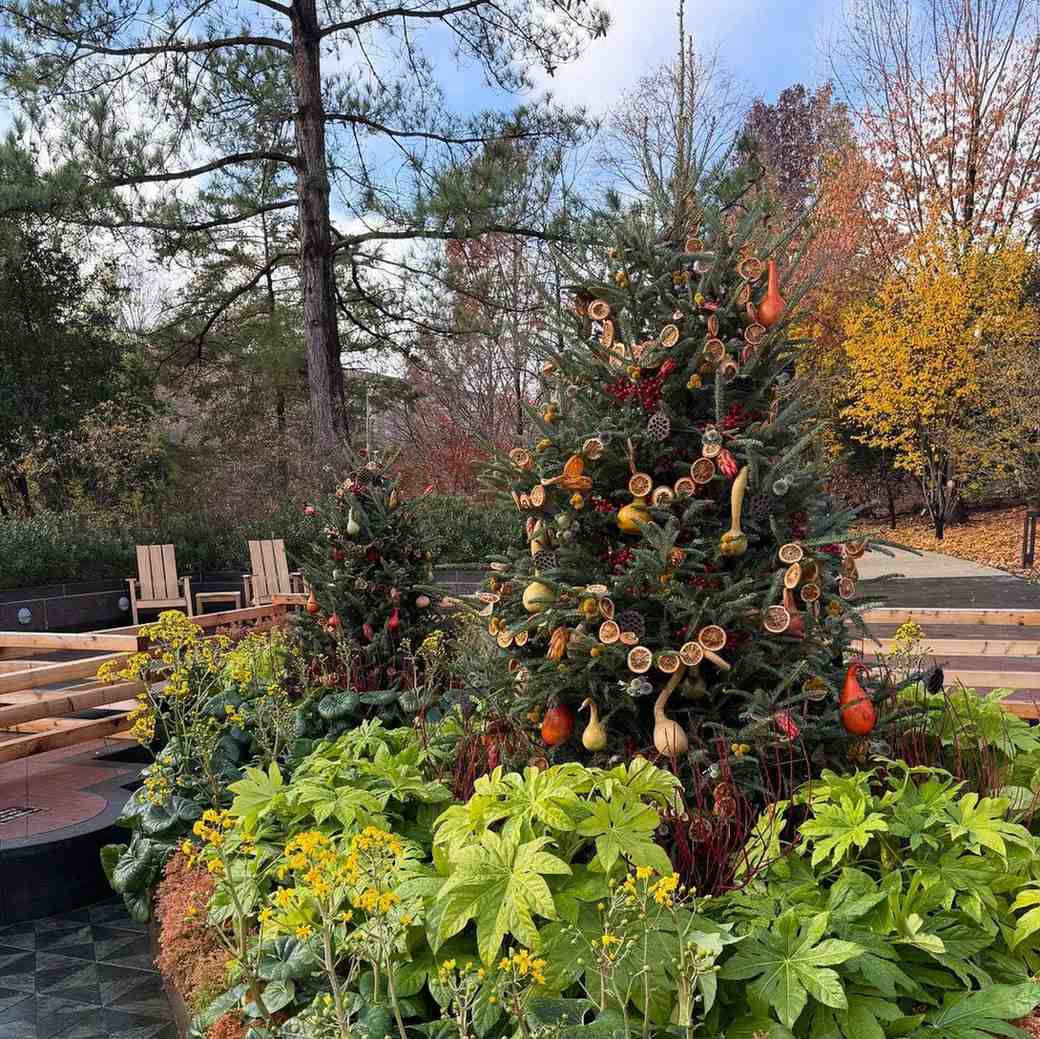 Christmas Garden Theme Ideas